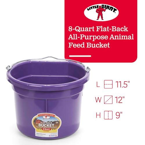 Little Giant P8FBPURPLE 2 Gallon All Purpose Heavy Duty Farm Flat Back Plastic Buckets for Supplies, Toys, Laundry, and Water, Purple, (2 Pack)