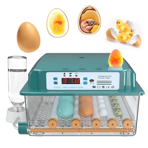 Choies 16 Egg Incubator,Incubators for Hatching Eggs,Automatic Egg Turning,Humidity Control,Automatic Water Adding,Incubator with Egg Candler,Quail Eggs Incubators for Hatching Chicken,Duck,Goose