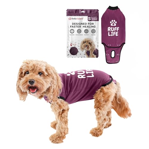 Dog Surgery Recovery Suit, Male Female After Spay Neuter Onesie | Soft Breathable Cotton, Anti-licking Cone Alternative, Protects Stitches & Abdominal Wounds, Patented Clip-up Potty System - color: Maroon, size: Small