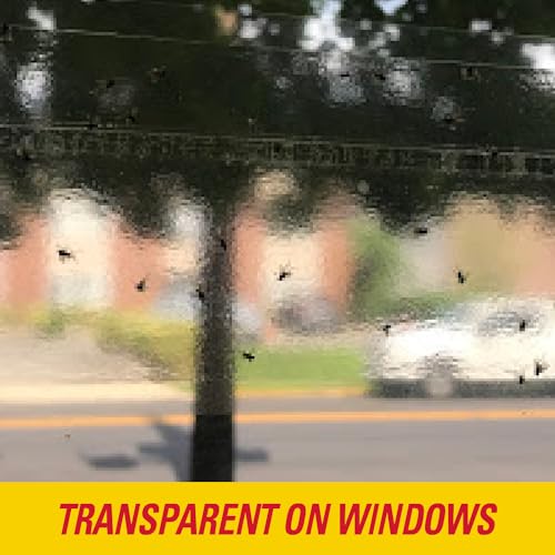 PIC Window Fly Traps (1),FTRP