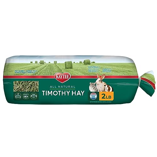 Kaytee Timothy Hay, High Fiber for Rabbits, Guinea Pigs, 32 Ounces | Supports digestive health. Hand-selected rabbit hay. Guinea pig hay, chinchilla hay, pesticide free - size: 2 Pound (Pack of 1)