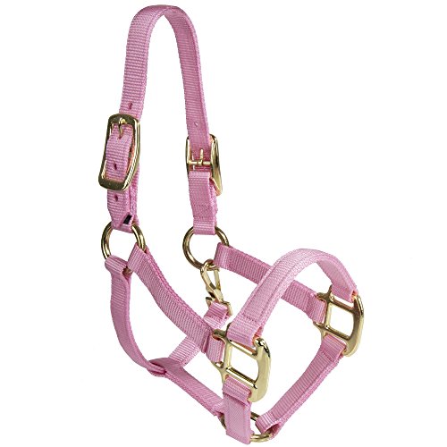 Intrepid International Durable Nylon Miniature Horse Halter w/Adjustable Chin & Throat Snap - color: Pink