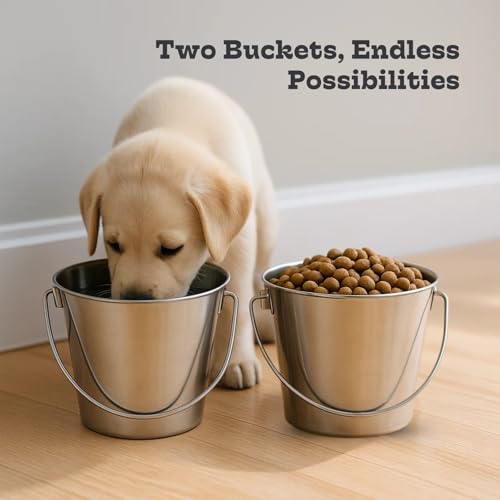 4Qt Heavy Duty Stainless Steel Water Bucket for Kennel, 2-Pack | Food & Water Pail, 1 Gallon Capacity, Heavy-Duty, Round Design with Carry Handle, Ideal for Dogs, Cats, Goat & Farm Animals - size: 4 Quart (Pack of 2)