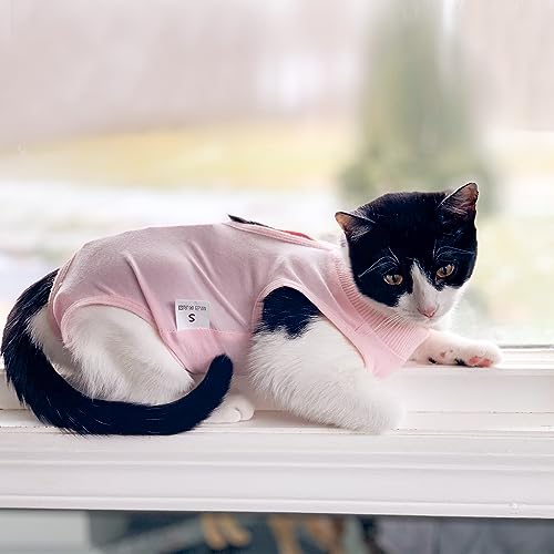 DOTON Cat Recovery Suit for Male and Female Surgical Post Surgery Soft Cone Onesie Shirt Clothes Neuter Licking Protective Diapers Outfit Cover Kitten Spay Collar(S, Pink) - color: Pink, size: Small