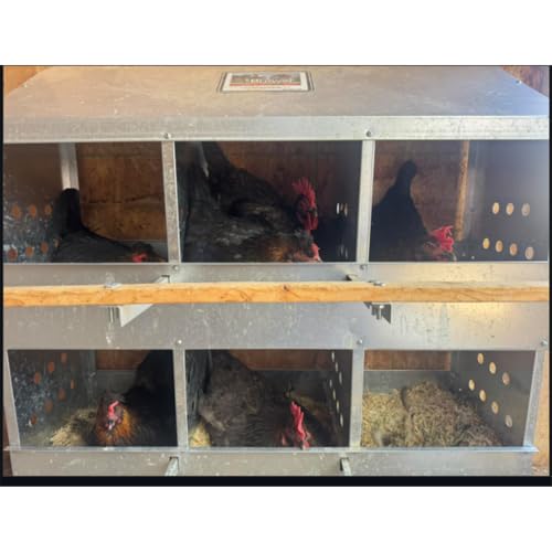 Brower 2-Tier 6-Hole Galvanized Steel Chicken Nesting Box, 30 to 40 Hen Capacity – Outdoor Poultry Laying Station with Hinged Folding Perches, Ventilated Design & Slanted Roof – Made in the USA - size: 37.0"L x 33.0"W x 24.5"H