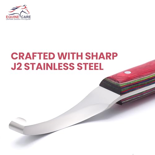 Farrier Hoof Knife, Right-Handed, Brass Cap for Horse Shoeing | Farrier hoof knife with J2 stainless steel blade, notched brass shoe topper and layered handle; right- or left-handed - style: Right Handed
