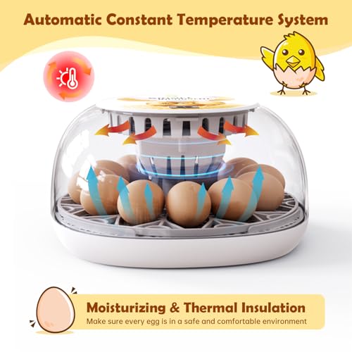 Egg Incubator for Hatching Chicks, Automatic Egg Turner Holds 12 Eggs | Smart Incubator 360° Clear Window with Temperature Display Egg Candler for Small Poultry Chickens Ducks Quails Eggs
