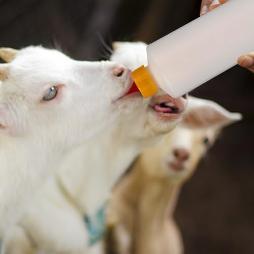 Yardwe Goat Feeding Bottles 5 Pack, 400 ml Lamb Feeding Bottles with Nipples, Plastic Livestock Milk Feeder for Baby Goats, Lambs and Calves