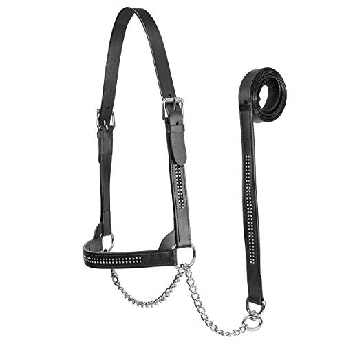 Derby Originals New and Improved Premium Crystal Bling Rhinestone Inlay Flat Leather Cattle Show Halter with Matching Chain Lead - color: Black, size: Small (350-700lbs)