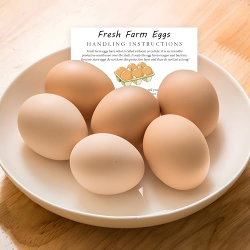 300PCS Fresh Eggs Handling Instructions Cards, 2x3.5" | for Egg Carton, Farm, Supermarket