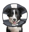 ZenPet Recovery Cone E-Collar for Dogs & Cats – Soft, Comfortable, Safe & Stress-Free Healing After Surgery, Adjustable Design, Secure Custom Fit (Large) - size: Large