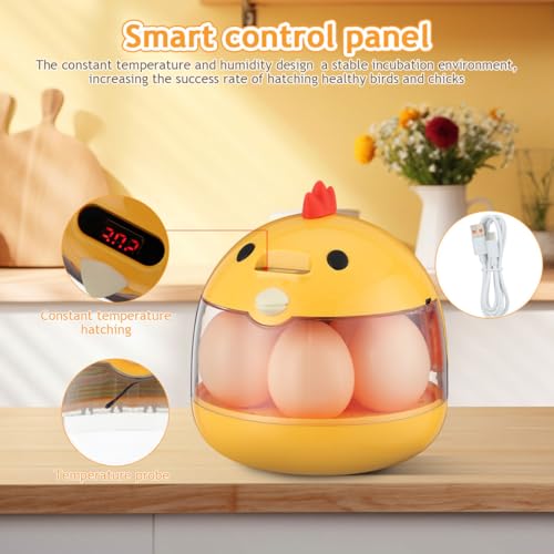 Abaodam Incubators for Hatching Eggs, Small Chicken Egg Incubator with Automatic Temperature Control & 360° View, Portable Type-C Hatcher for Quail, Parrot, Duck, Poultry, Ideal for Kids Science