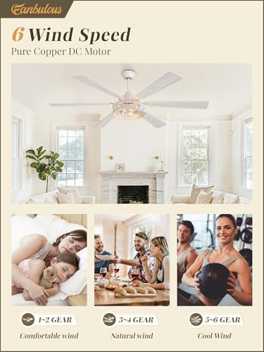 Fanbulous 65 Inch Ceiling Fan with Light and Remote, Farmhouse Large, White | Industrial Caged Rustic, Downrod Mount, Quiet Reversible DC Motor, Powerful 6 Speeds, Timer, for Living Room, Bedroom, Indoor - color: White with Light Gold, size: 65 Inch