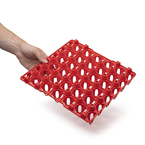 Chicken Nesting Pads 6 Pack - Washable Coop Accessories with 2 Bonus Egg Trays - Easy Clean Nesting Box Liner Pads for Farm and Backyard Laying Hens 13.6 x 11.5 Inches. Reusable Poultry Supplies