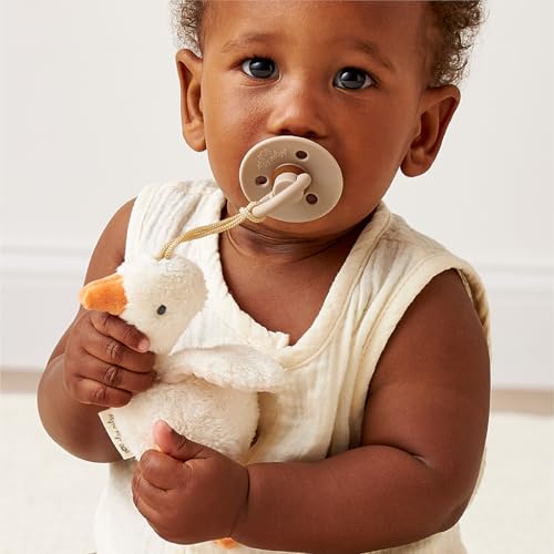 Itzy Ritzy Pacifier & Lovey Set - Natural Rubber Pacifier with Plush Goose | Natural Rubber Pacifier with Detachable Bear Lovey, Soft Cotton Fabric, Large Vent Holes, and Soothing Comfort for Babies - color: Goose