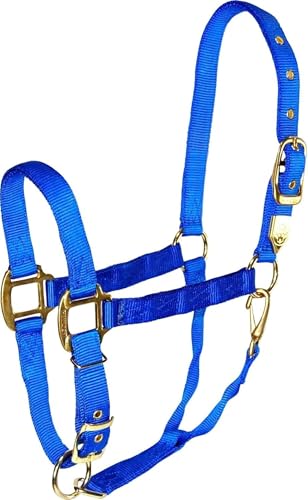 Hamilton Deluxe Adjustable Horse Halter, 800-1100 lbs, Blue | Premium Quality 1" Triple Ply Nylon, Average/Arabian/Yearling Draft, Adjustable Chin Strap, Throat Snap, Solid Brass Hardware - color: Blue, size: Average, 800-1100lbs