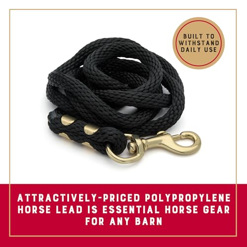 Weaver Equine Performance Lead Rope, Lime Zest, 8' Horse Value Rope with Brass Plated 225 Snap, Soft Comfort Grip, Barn Horse Tack for Daily Use - color: Black