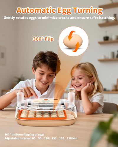 24 Egg Incubator with Automatic Turner Poultry Hatcher | Digital Temp Humidity Monitor, Low Humidity Alarm, External Water Bottles, Built-in Egg Candler for Chicken, Duck&Quail Eggs - color: Orange