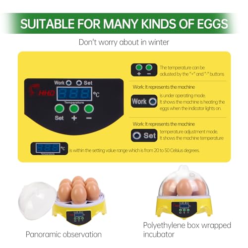 360° View 7-Egg Poultry Incubator for Hatching Chicken, Duck, Goose, Parrot, and Quail Eggs, with Temperature Control