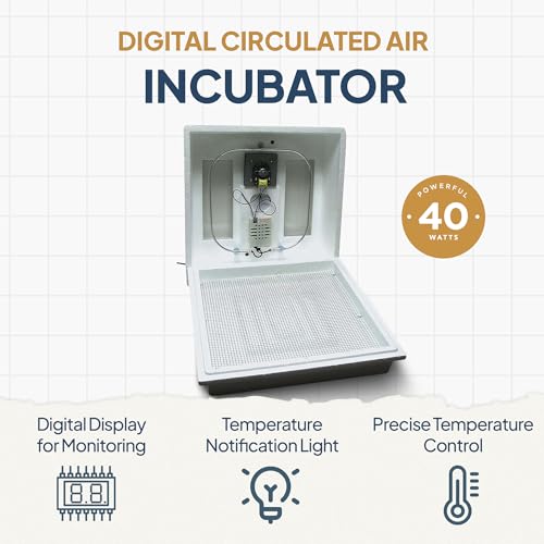 Farm Innovators 120 Volt 40 Watt Circulated Air Incubator for Up to 4 Eggs with Easy to Read Digital Display and Large Picture Window, White (2 Pack) - color: Digital Circulated Air, size: 2 Pack