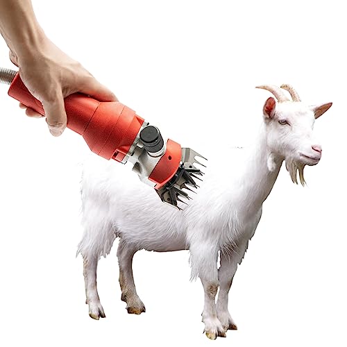 1200W Sheep Shears, 9-Tooth Blade 2800r/min Manganese Steel Professional Heavy Duty Electric Sheep Clippers for Mianyang, Tibetan Sheep, Hu Sheep, Goats, Small-Tailed Han Sheep, Tan Sheep