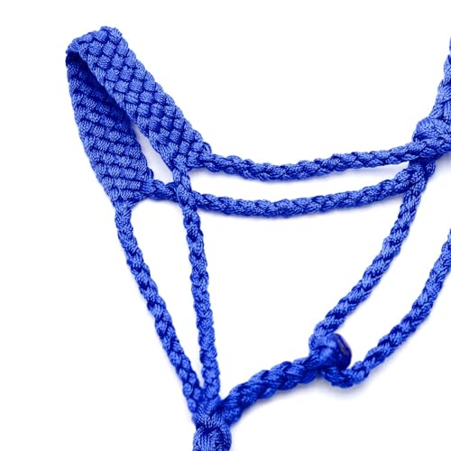 Jeffers Equine Braided Mule Tape Halter with 10' Detachable Lead Rope Set for Horses, 14 to 18 Hands - Stylish Design with Adjustable Poll Strap, Easy to Use Western Tack - Blue - color: Blue