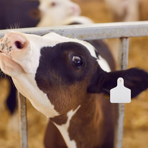 Lothee 100 Pcs Blank Cattle Ear Tags Large Plastic Precision Animal Identification Blank Livestock Ear Tags for Cattle Cow Horse Dog Pig Goat Sheep Farm Management (White) - color: White