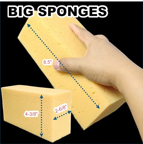 Car Wash Sponges, Extra Soft Coral, 8.3x4.38x2.8 inches,