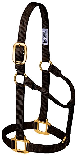 Weaver Leather Original Non-Adjustable Nylon Horse Halter, Large, Brown