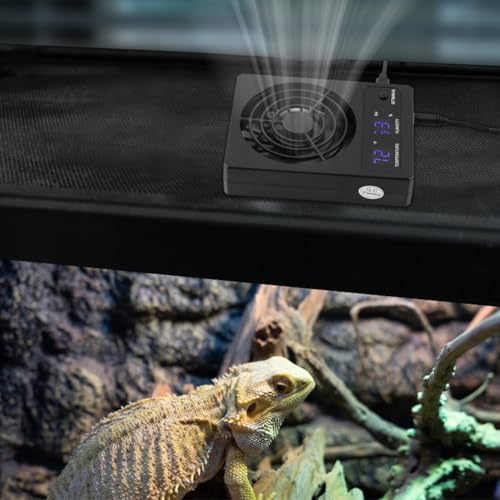 Reptile Ventilation Fan, Auto Temperature/Thermometer Control LED Digital Humidity Gauge, °C/°F Switchable Dehumidifier for Reptile Tank, Rainforest, Ecological Pet Rearing Box (Automatic Humidity) - size: Automatic humidity