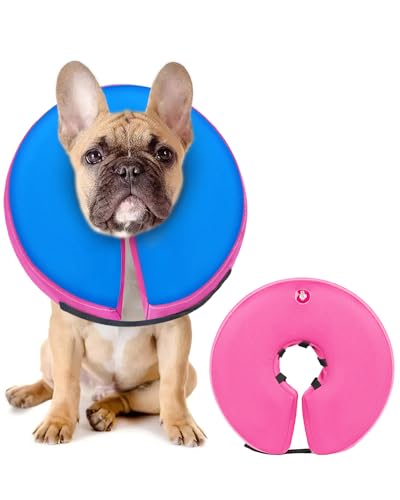 MIDOG Inflatable Dog Cone, Donut Recovery Collar After Surgery, Medium | Soft inflatable donut e-collar; stops licking after surgery; pet eats & sees normally; neck 12-15 in (M); not for chewers - color: PinkBlue, size: Medium (Neck:12"-15")