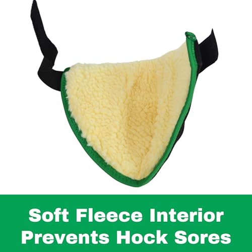 Click Horse Hock Shield, Horse Care Boots, Hock Shield for Horses w/ Fleece Lining, Prevents Hock Sores & Bed Sores, Tear Resistant Hock Protectors for Horses, Black w/ Green Trim - size: Horse