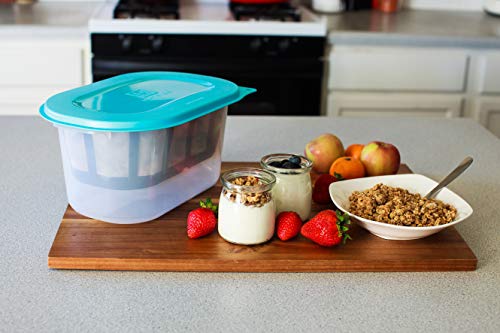 Hatrigo 1-Gallon Greek Yogurt Maker with Extra Fine Mesh BPA-Free Large Stainless Steel Strainer, Makes Thick Creamy Greek Yogurt (14 x 10 x 7 in) - size: 4 Quart (1 Gallon)