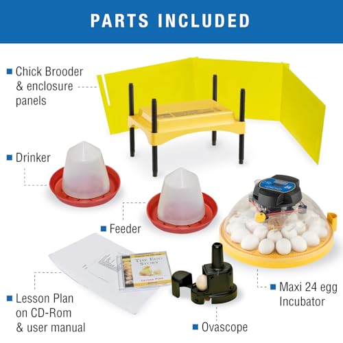 Brinsea Maxi 24 Advance Complete Classroom Egg Hatching Incubation Kit | Bring embryology to life! Includes incubator, all accessories & lesson plans teachers need for effortless classroom hatching - size: Classroom Kit, 24 Eggs