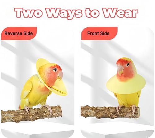 3 Pack Anti-bite Bird Collars Anti-Grab Feather Plucking Wound Healing Safety Elizabethan Collar Neck Protector Recovery Cones for Budgerigar Cockatiel Lovebirds Cockatoo Parrots-L - size: L