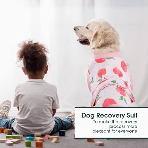 Kuoser Recovery Suit for Dogs Cats, Soft Dog Surgery Suit Female Male Spay | Professional Dog Onesie for Surgery, Substitute E-Collar & Cone, Prevent Licking Dog surgical suit Pet Neuter Suit - color: Pink, size: Small (Back:11.4-13.4'', Weight:7-15 Lb)