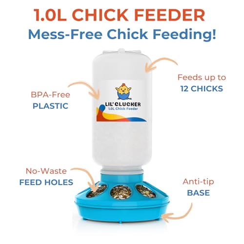 Lil'Clucker 1L Chick Feeder, 1.5L Chicken Waterer - No Leakage Chick Feeder and Waterer Kit, Durable Chicken Water Feeder, Chicken Feeder and Waterer Set, Poultry Waterer (Blue) - color: Blue