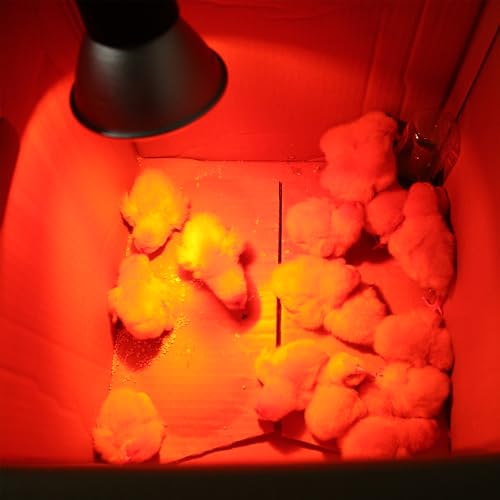 3 Pack Replacement G9 Infrared Heat Lamp for Chickens, Tiny Red Bulbs Beads (75 Watt)