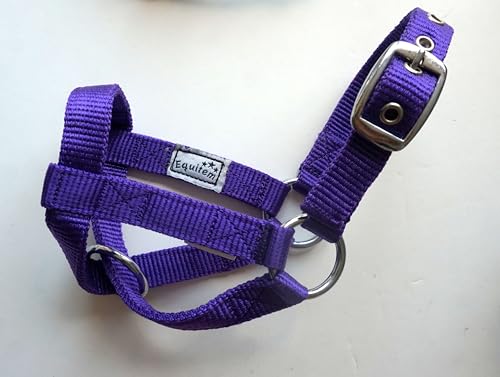 Livestock Goat Halter. Small, Medium, Large – Safe & Adjustable for Milking, Training, and Travel. (Purple, Medium (30"–33")) - color: Purple, size: Medium (30"–33")