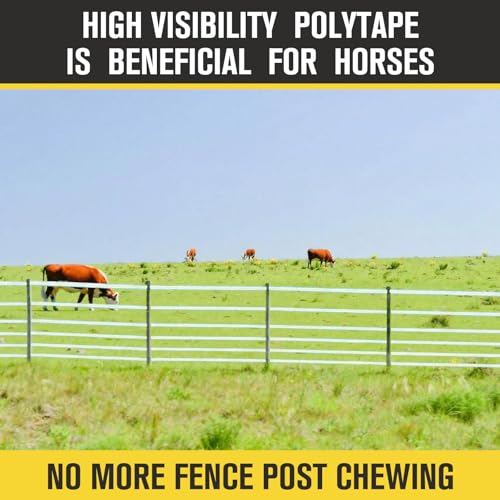 1 Roll 3/4 Inch x 2000 ft Electric Fence Tape for Livestock Polytape Fencing Horse Fence with High Visibility(Green) - color: Green, size: 3/4 Inch X 2000 ft
