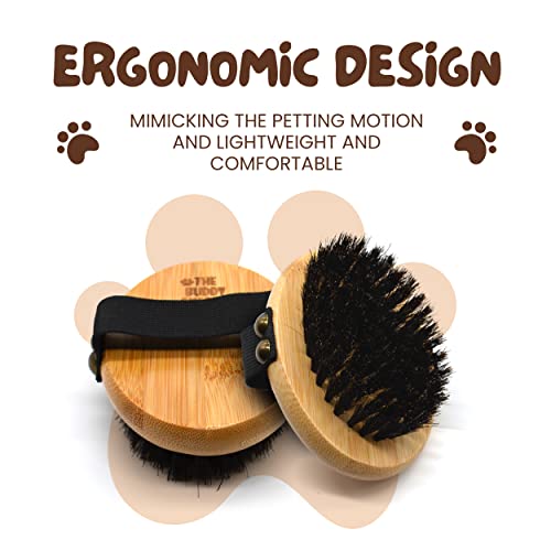 The Buddy System - Pet Close Brush, Oval Palm Brush with Boar Bristles | Dog & cat grooming brush for shedding, massage, healthy coat, and pet hair care. Fits in your palm for daily grooming - color: Boar Bristle