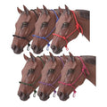 Tough1 Knotted Rope Halter with Twisted Crown - color: Multicolor Pack