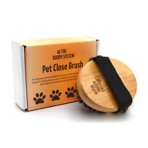 The Buddy System - Pet Close Brush, Oval Palm Brush with Boar Bristles | Dog & cat grooming brush for shedding, massage, healthy coat, and pet hair care. Fits in your palm for daily grooming - color: Boar Bristle
