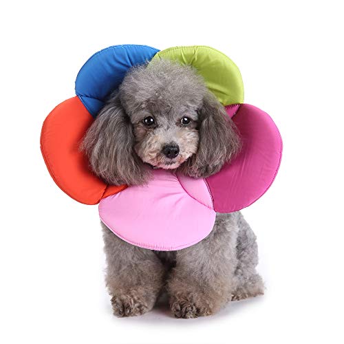 Dog Collar, Pet Cone E-Collar Flower Soft Elizabethan Waterproof Grooming Recovery Protecive Adjustable Collar for Puppy Small Medium Dogs (M Neck:11-13in, Rainbow) - color: Rainbow, size: M Neck:11-13in