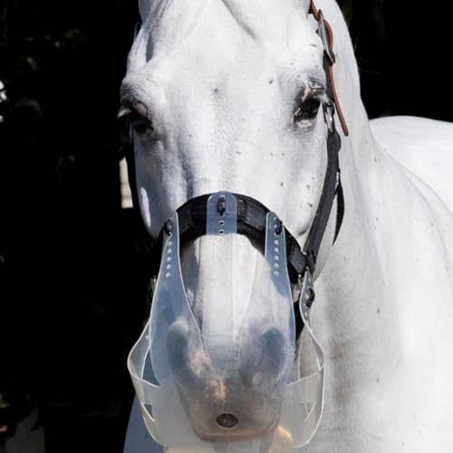 Turnout Halter for Use with Grazing Muzzle | Horse Equine Safe Comfortable Adjustable Breakaway Halter - Size Options - size: Large Pony