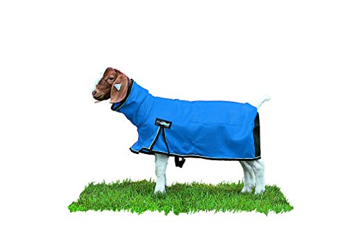 Weaver Leather Livestock ProCool Mesh Goat Blanket with Reflective Piping
