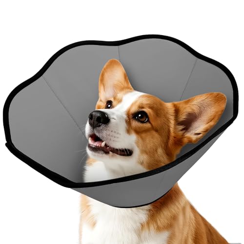 MIDOG Dog Cone Collar After Surgery, Soft Dog Cone Alternative to Stop Licking,Adjustable Elizabethan Recovery Cones for Small to Large Sized Dogs - color: Grey, size: M