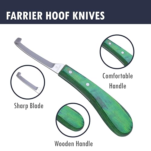 Professional Hoof Knife – Premium Stainless Steel Farrier Knife with Green Wooden Handle | Sharp Hoof Trimming Tool for Horses, Goats & Livestock | Left/Right Hand and Double Edge Use