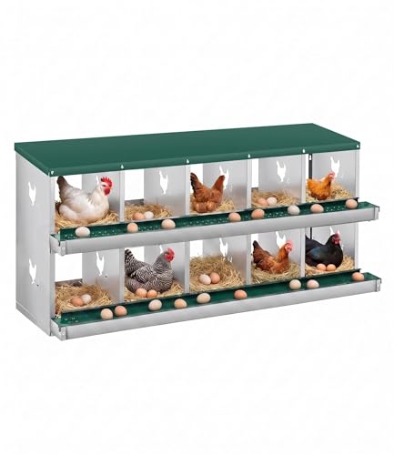 10 Compartment Chicken Nesting Box, Heavy Duty Metal Laying Box with Perch, Easy Assembly & Easy Clean for Outdoor Chicken Coop, Green - color: Green, size: 10 Compartment