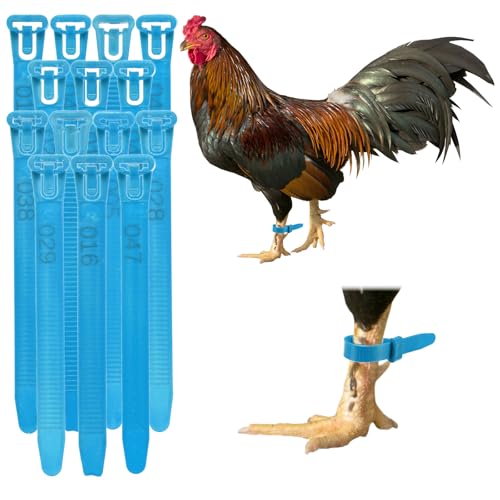 M METERXITY 100-Pack Adjustable Chicken Leg Bands, 10-28 mm Plastic Poultry Identification Chicken Leg Rings for Turkey/Duck/Goose/Chicks, Colorful Numbered Foot Clip on Tags [Blue] - color: Blue